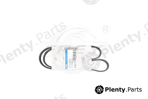 Frey 821606301 — V-Ribbed Belt