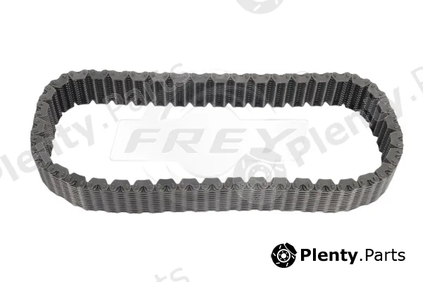 Frey 706503401 — Timing Chain
