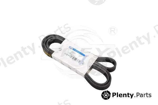 Frey 821608001 — V-Ribbed Belt