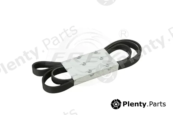 Frey 721605601 — V-Ribbed Belt