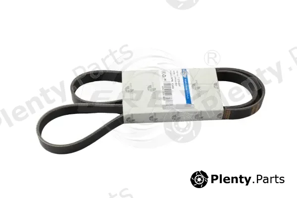 Frey 721604101 — V-Ribbed Belt