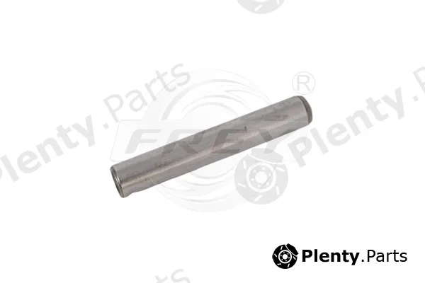 Frey 706420201 — Timing Chain