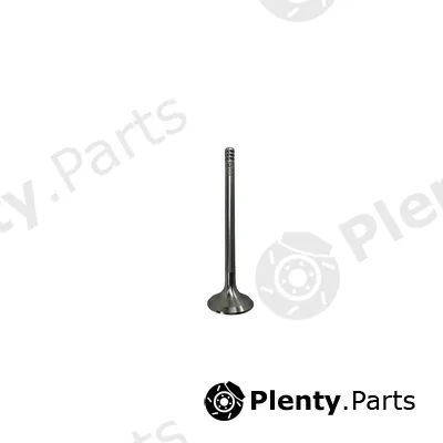 Frey 806700301 — Exhaust Valve