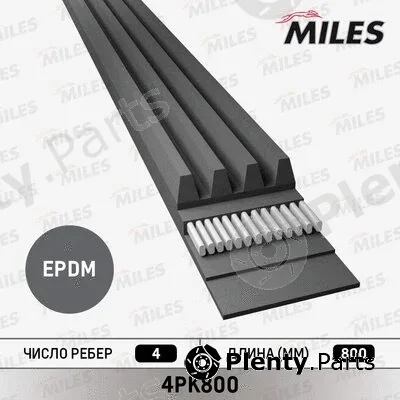 Miles 4PK800 — V-Ribbed Belt