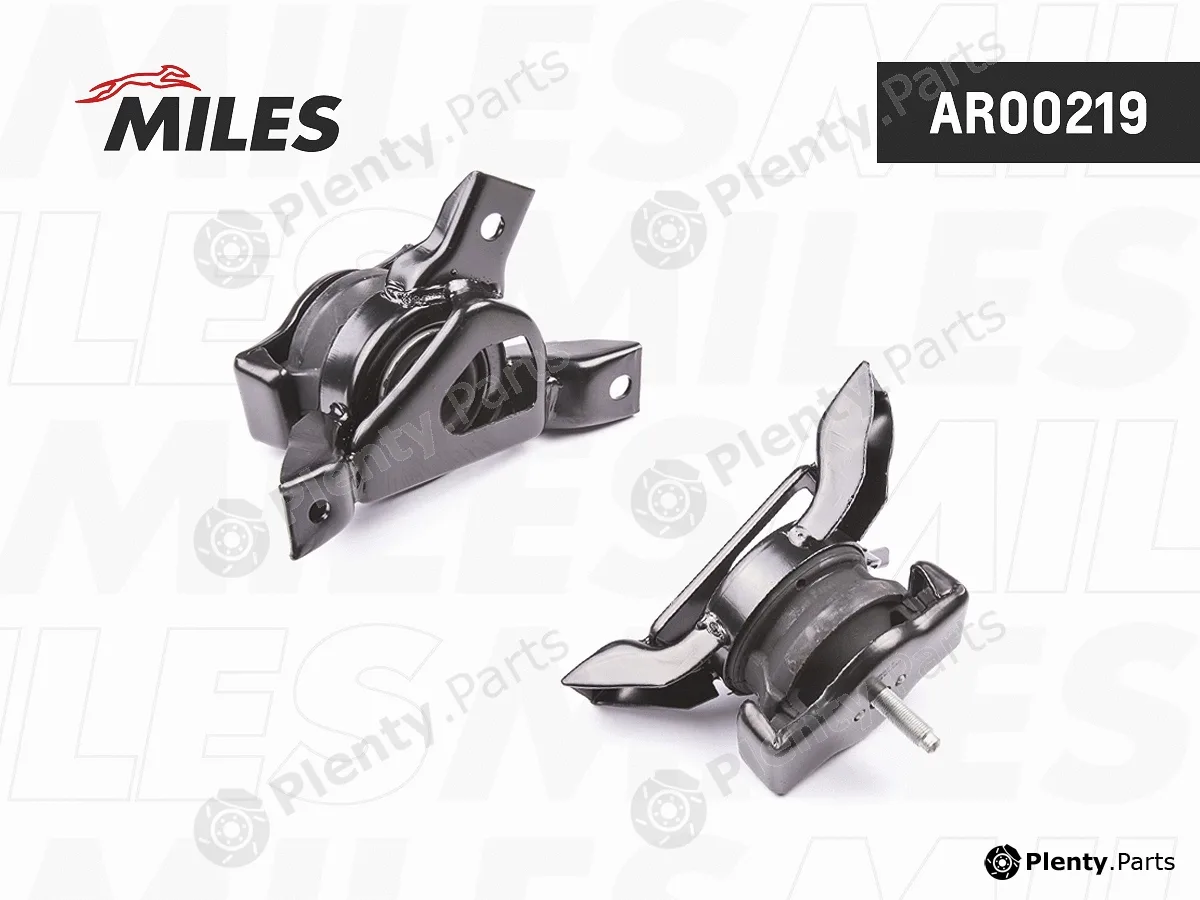 Miles AR00219 — Mounting, engine