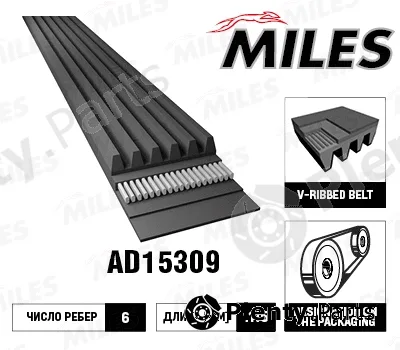 Miles AD15309 — V-Ribbed Belt
