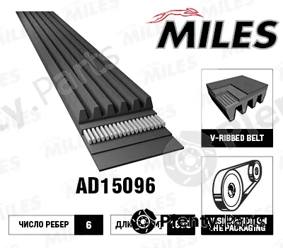 Miles AD15096 — V-Ribbed Belt