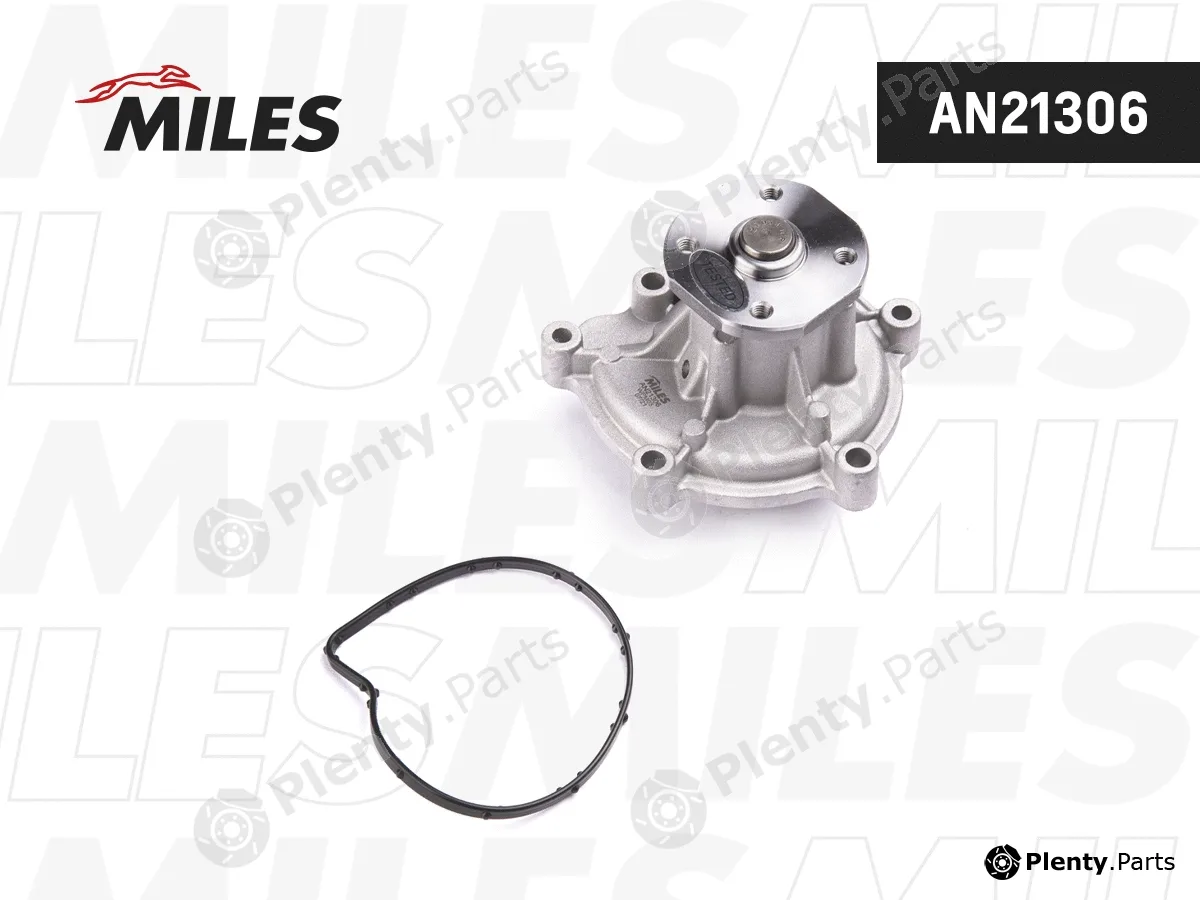 Miles AN21306 — Water Pump, engine cooling