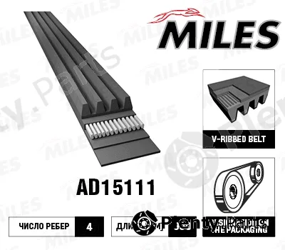Miles AD15111 — V-Ribbed Belt