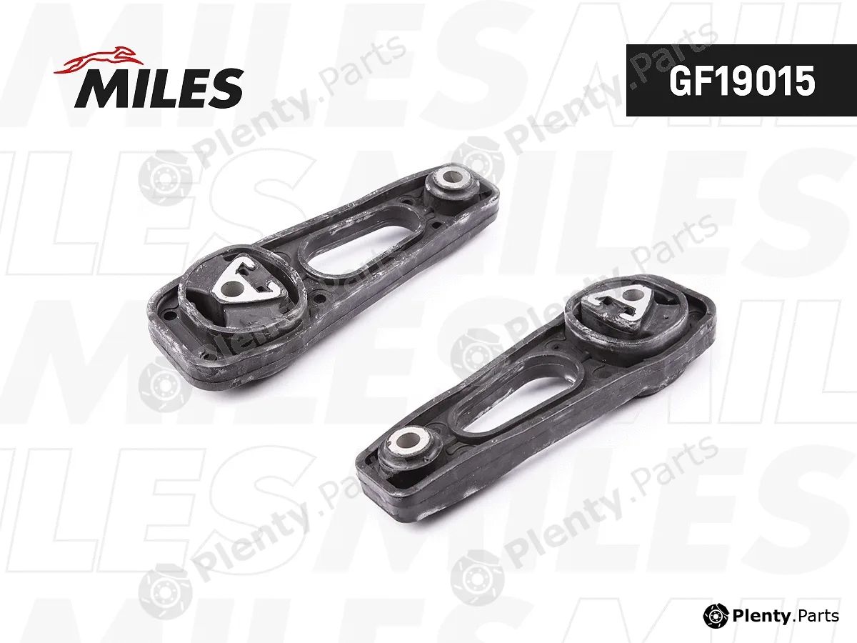 Miles GF19015 — Mounting, engine