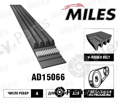 Miles AD15066 — V-Ribbed Belt