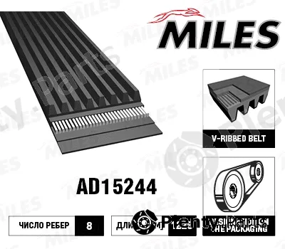 Miles AD15244 — V-Ribbed Belt