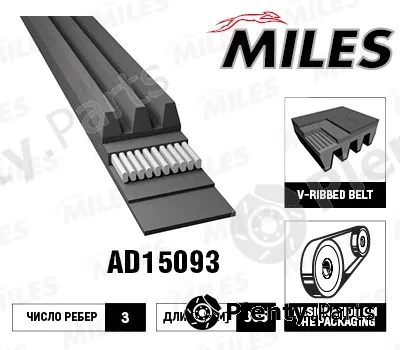 Miles AD15093 — V-Ribbed Belt