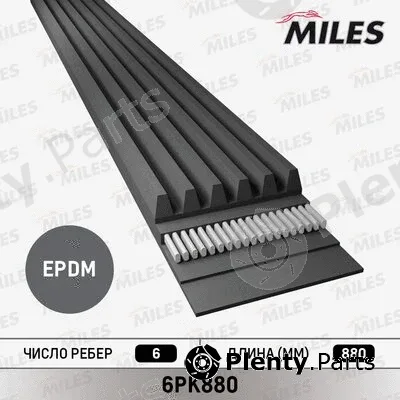 Miles 6PK880 — V-Ribbed Belt