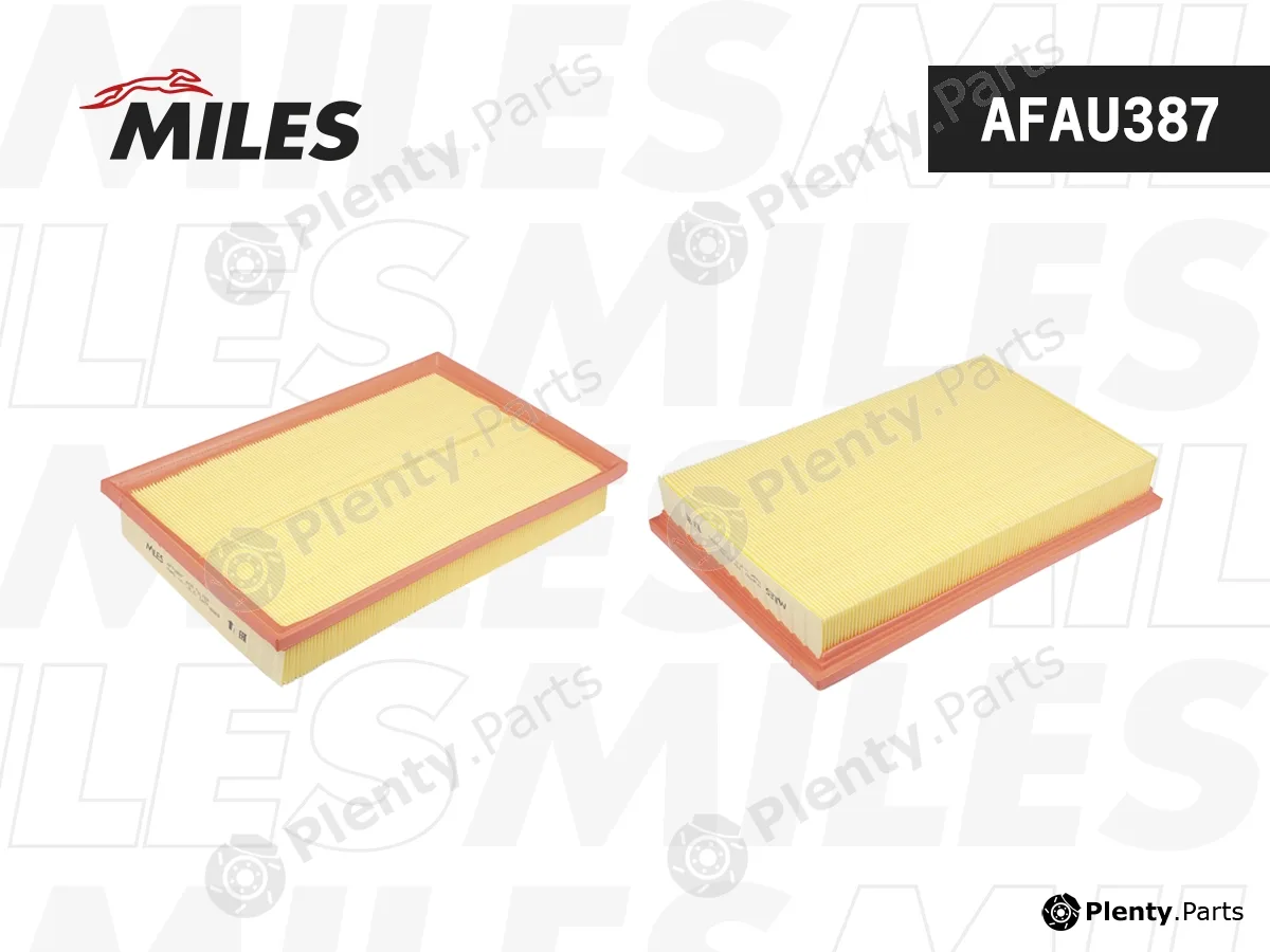 Miles AFAU387 — Air Filter