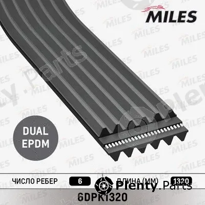 Miles 6DPK1320 — V-Ribbed Belt