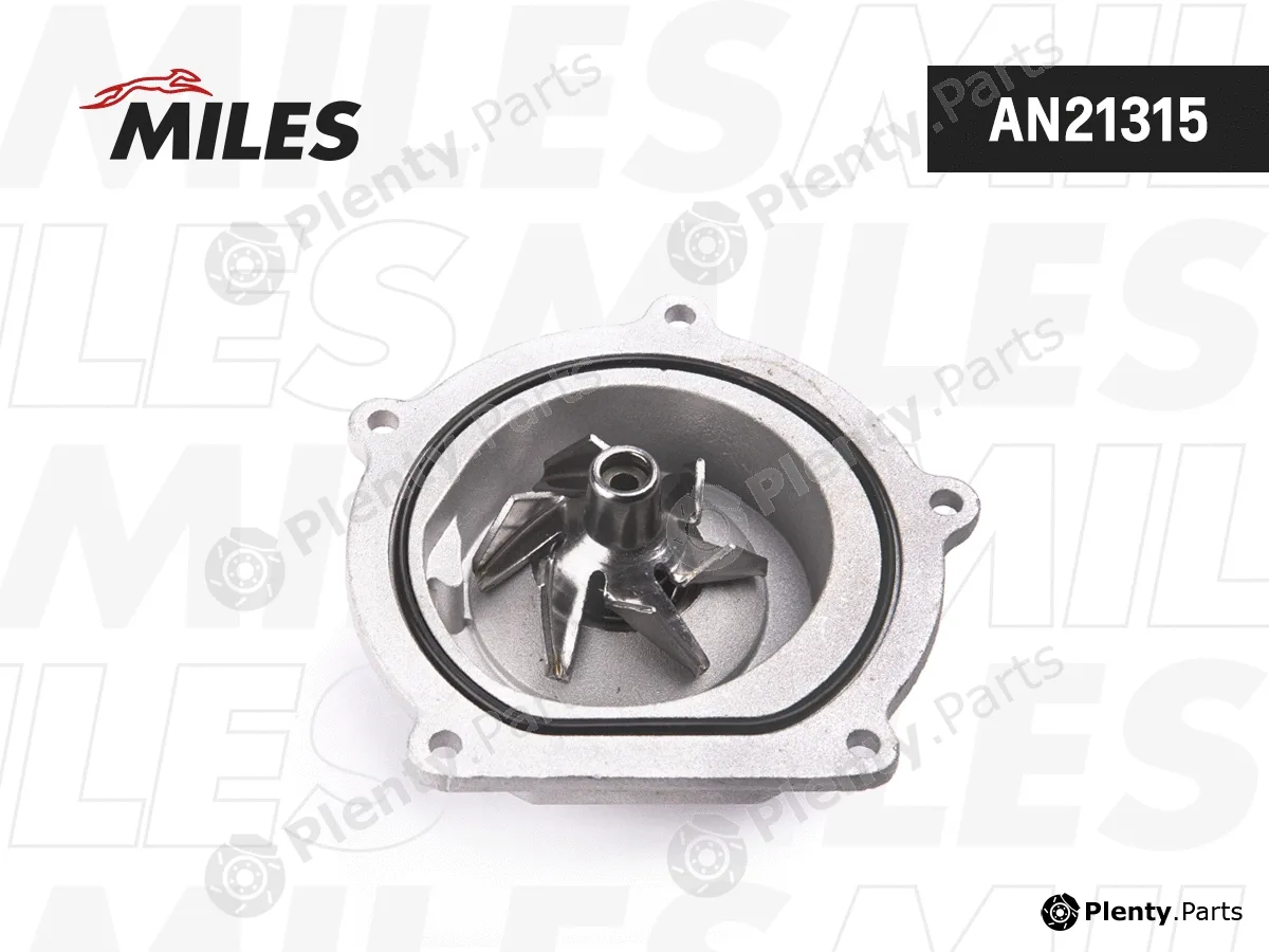 Miles AN21315 — Water Pump, engine cooling
