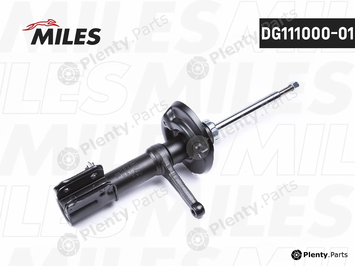 Miles DG111000-01 — Shock Absorber