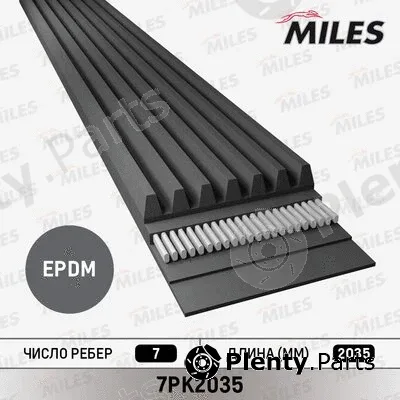 Miles 7PK2035 — V-Ribbed Belt
