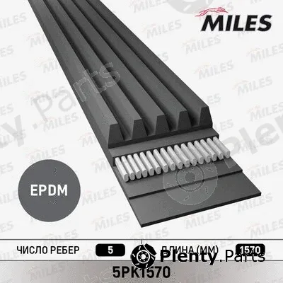 Miles 5PK1570 — V-Ribbed Belt