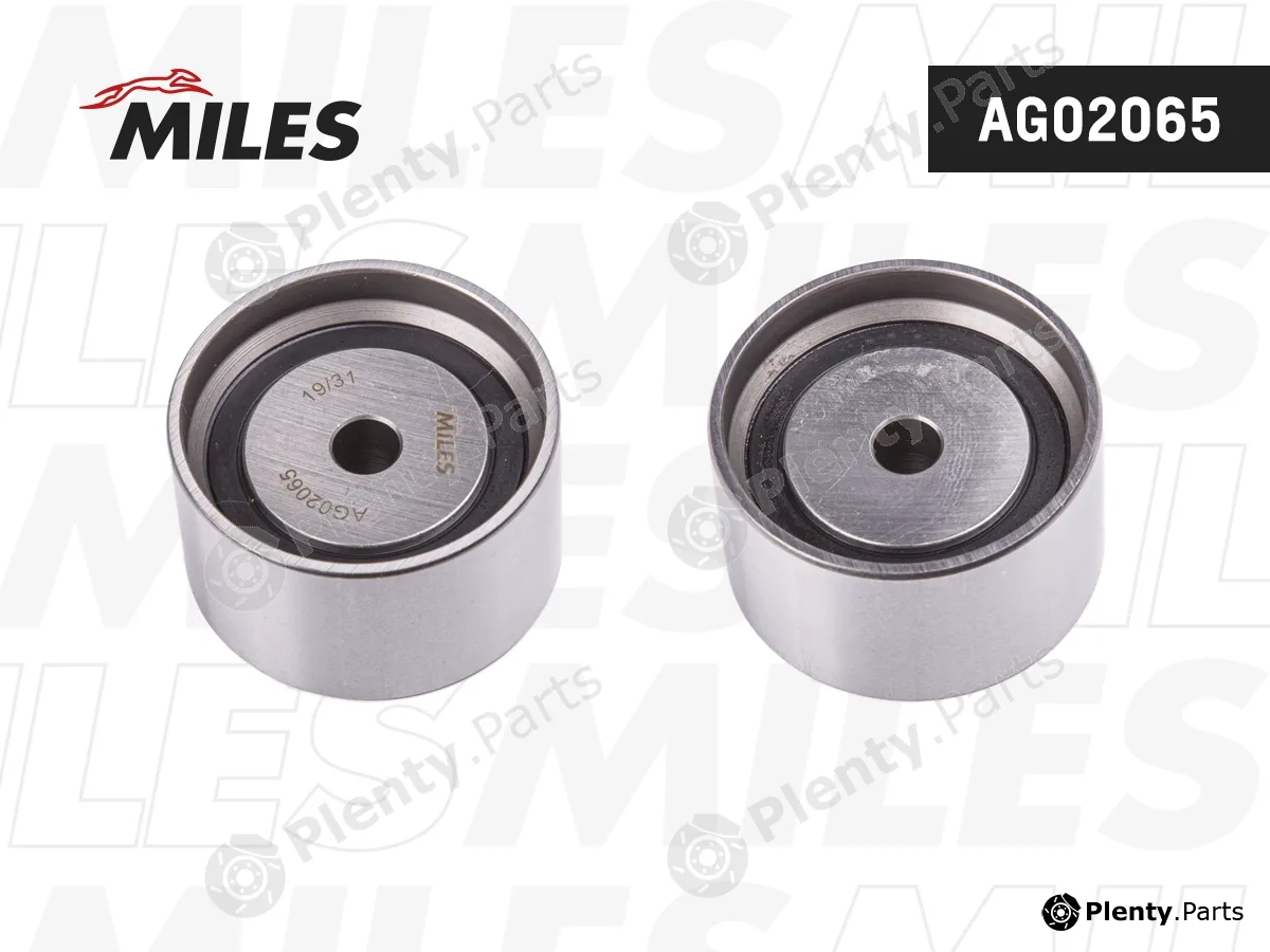 Miles AG02065 — Deflection/Guide Pulley, timing belt