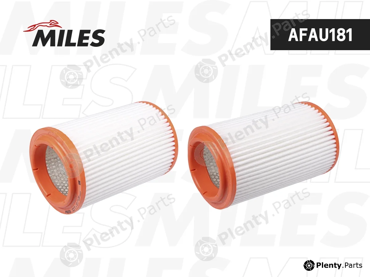 Miles AFAU181 — Air Filter