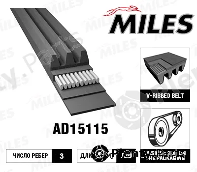 Miles AD15115 — V-Ribbed Belt