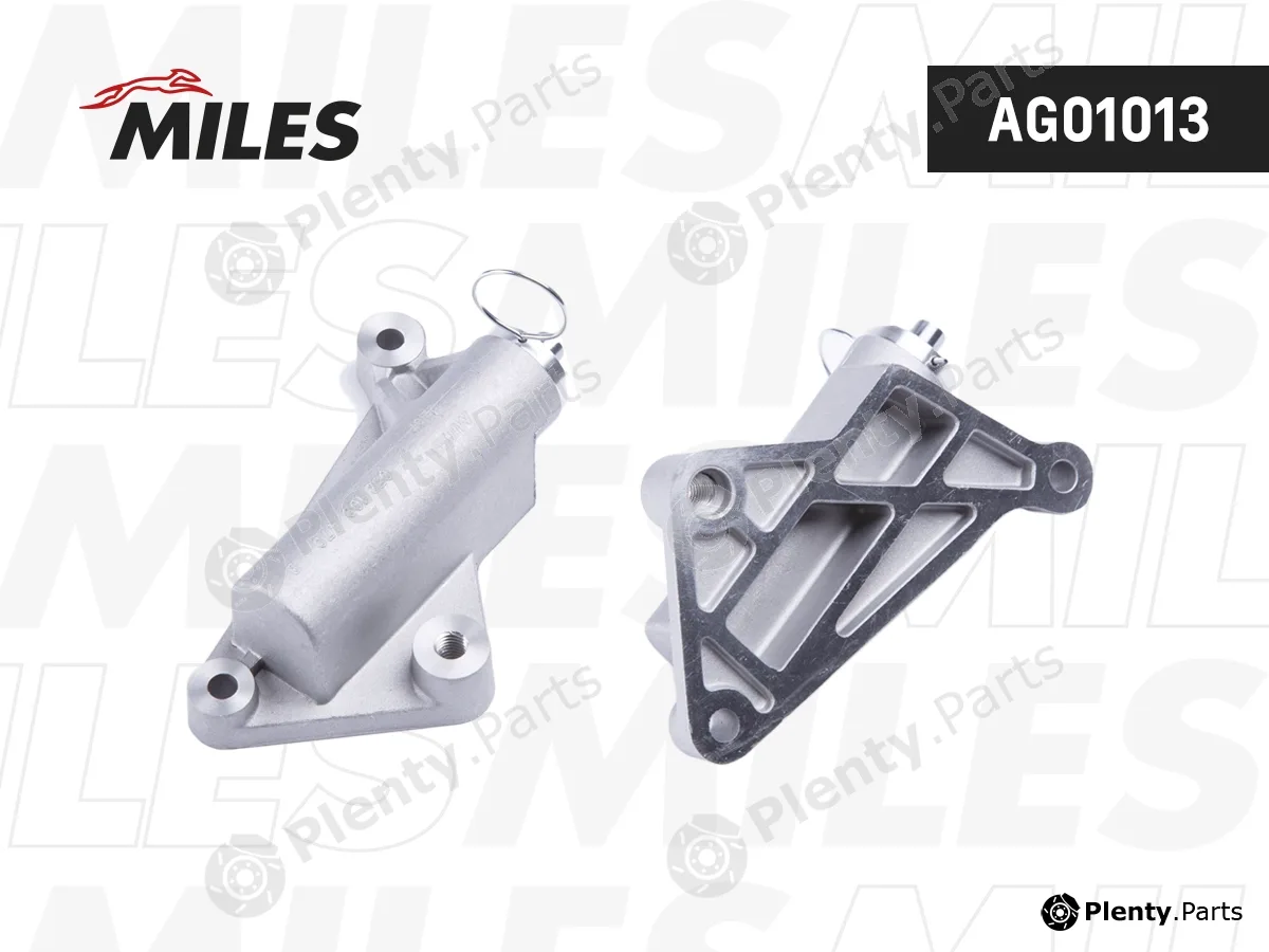 Miles AG01013 — Vibration Damper, timing belt
