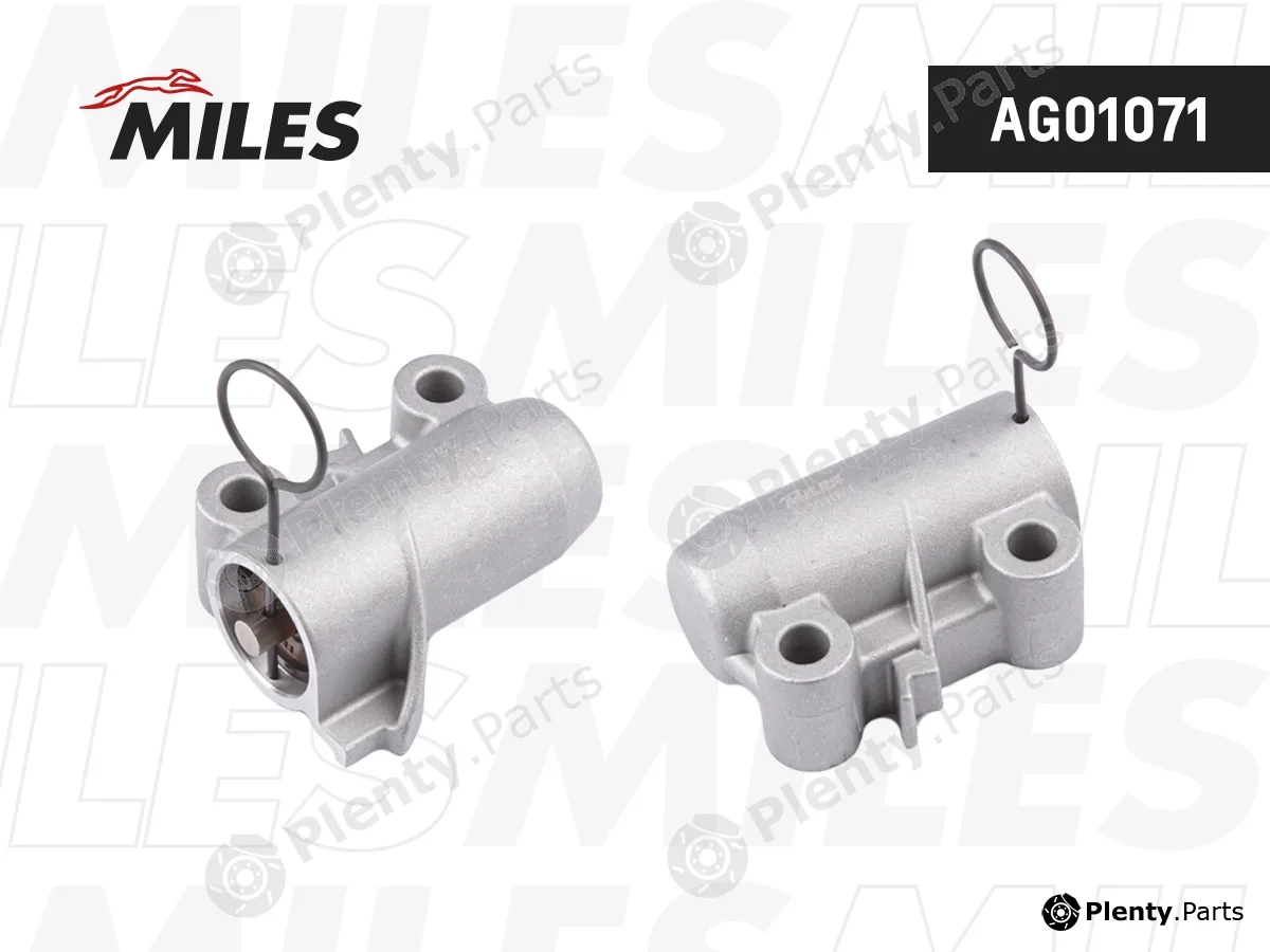 Miles AG01071 — Vibration Damper, timing belt