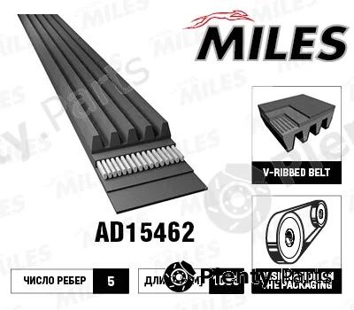 Miles AD15462 — V-Ribbed Belt