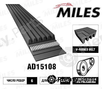 Miles AD15108 — V-Ribbed Belt