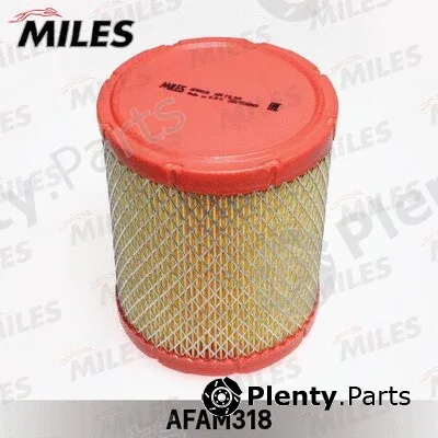 Miles AFAM318 — Air Filter