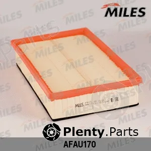 Miles AFAU170 — Air Filter