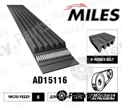 Miles AD15116 — V-Ribbed Belt