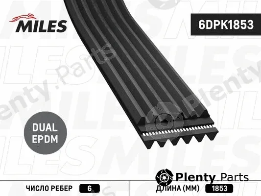 Miles 6DPK1853 — V-Ribbed Belt