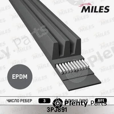 Miles 3PJ891 — V-Ribbed Belt
