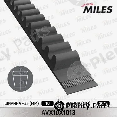 Miles AVX10X1013 — V-Belt