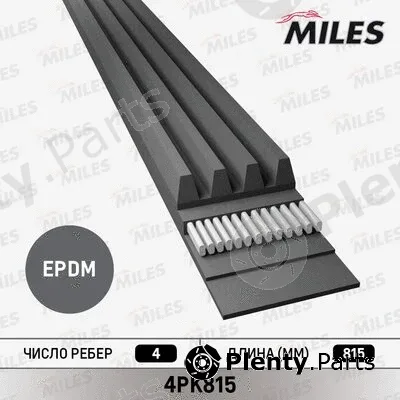 Miles 4PK815 — V-Ribbed Belt
