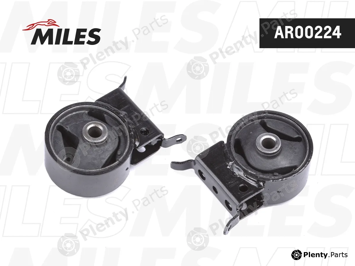 Miles AR00224 — Mounting, engine