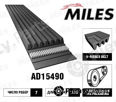 Miles AD15490 — V-Ribbed Belt