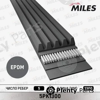 Miles 5PK1300 — V-Ribbed Belt Set
