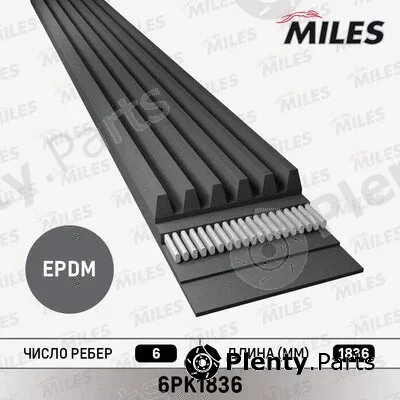 Miles 6PK1836 — V-Ribbed Belt