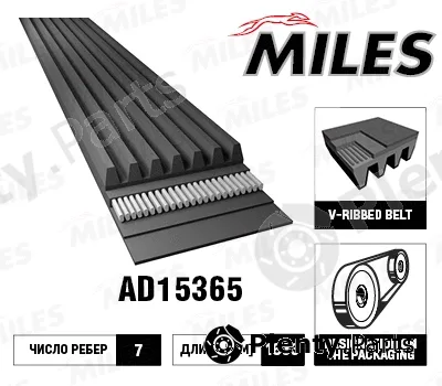 Miles AD15365 — V-Ribbed Belt