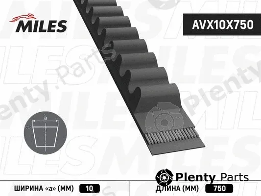 Miles AVX10X750 — V-Belt