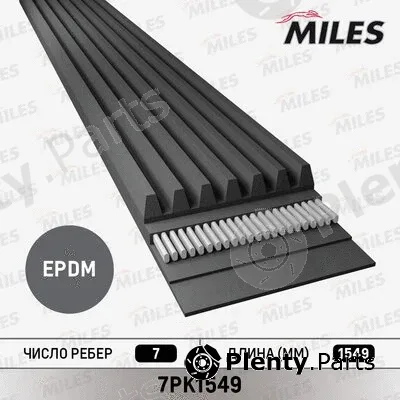 Miles 7PK1549 — V-Ribbed Belt