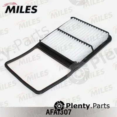 Miles AFAI307 — Air Filter
