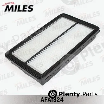 Miles AFAI324 — Air Filter