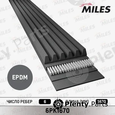 Miles 6PK1670 — V-Ribbed Belt