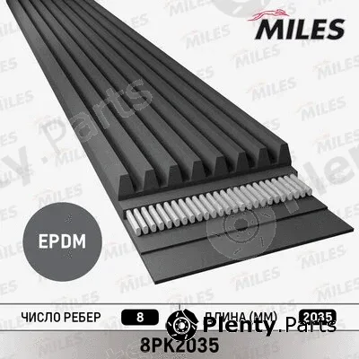 Miles 8PK2035 — V-Ribbed Belt