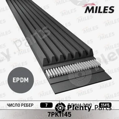 Miles 7PK1145 — V-Ribbed Belt